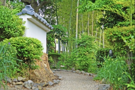 竹林を抜けると日本庭園と古民家が現れます
