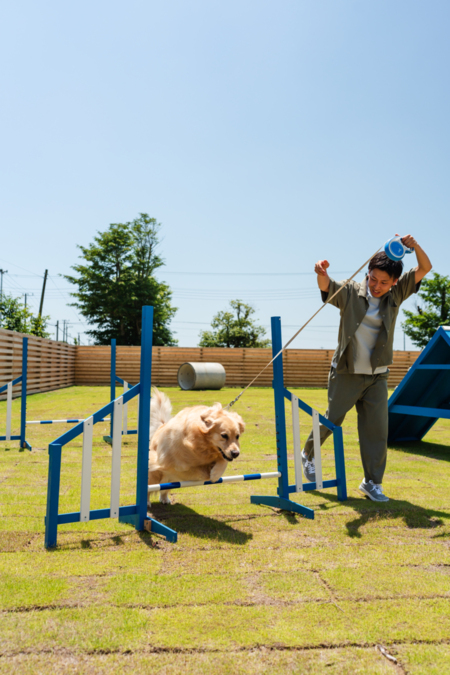 庭がドッグランになっています