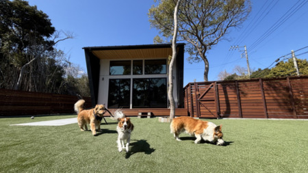 お庭ドッグラン