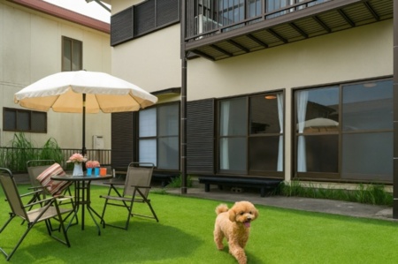 お庭で広々ドッグランができます！