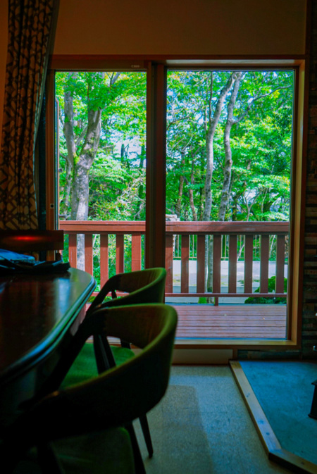 リビングからの景色