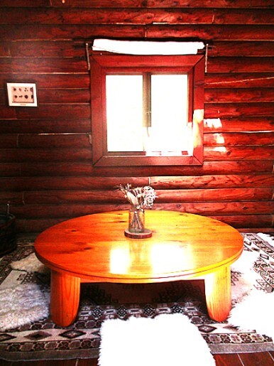 テラス横の２人用ブランコ