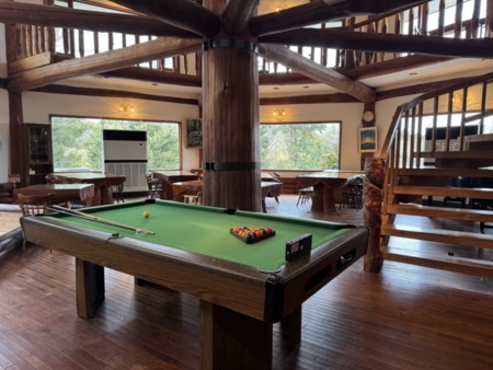 ビリヤード台、バーカウンター、ダーツ